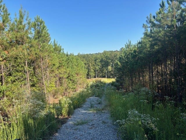 Parcel 2 Mountain Drive, Hamilton, GA, 31811