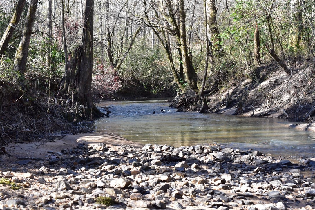 0 DOUBLE BRIDGE FERRY, Eclectic, AL, 36024