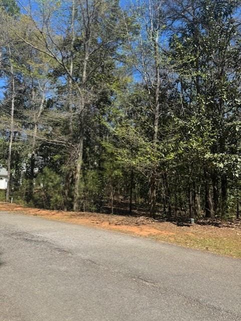 410 Highland Park Loop, Pine Mountain, GA, 31822 — Photo 2