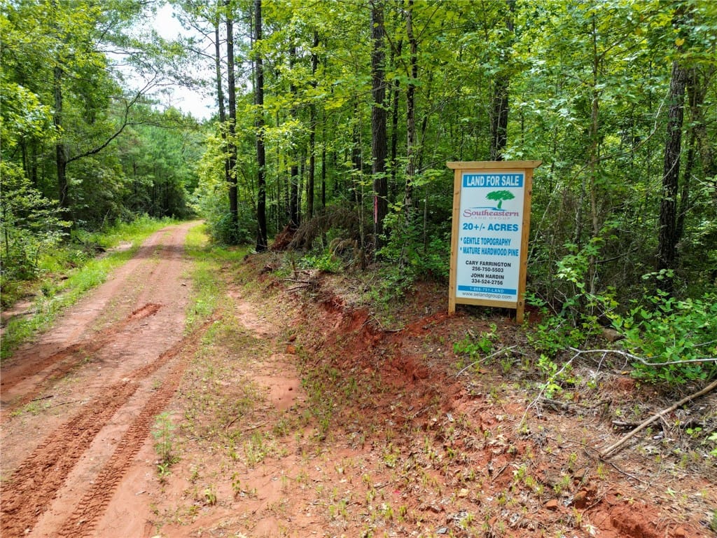 0 COUNTY ROAD 648, Waverly, AL, 36879 — Photo 3