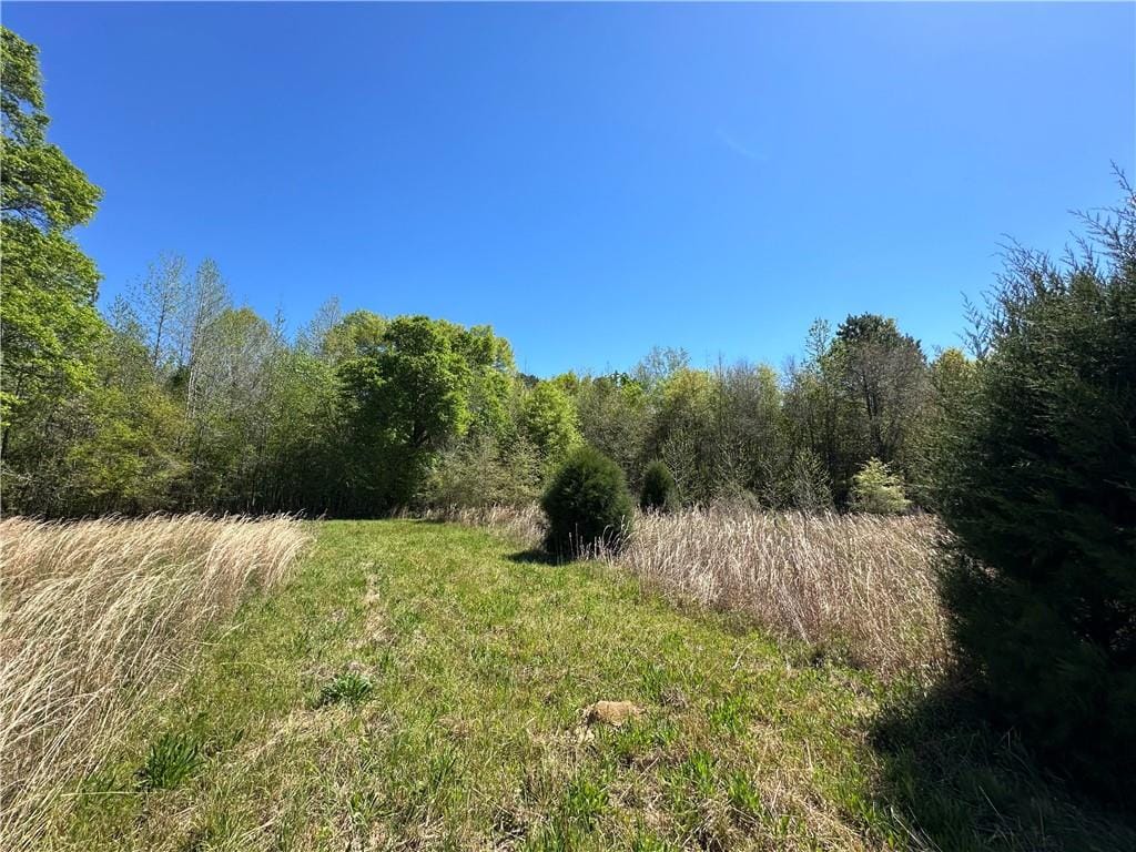 Lot J2 Seaboard, AL, 36858