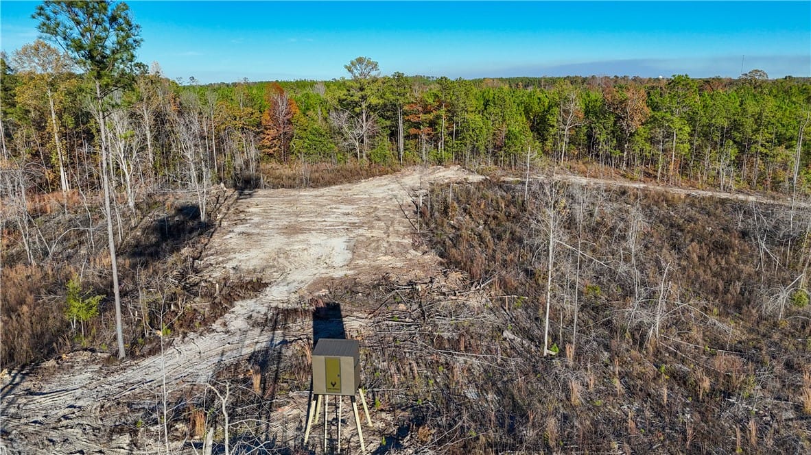 0 STURDIVANT, Jacksons Gap, AL, 36861