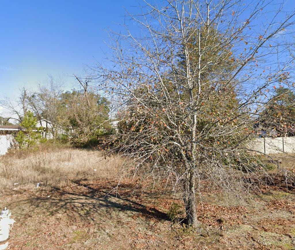 329 West Gordon Avenue, Albany, GA, 31701