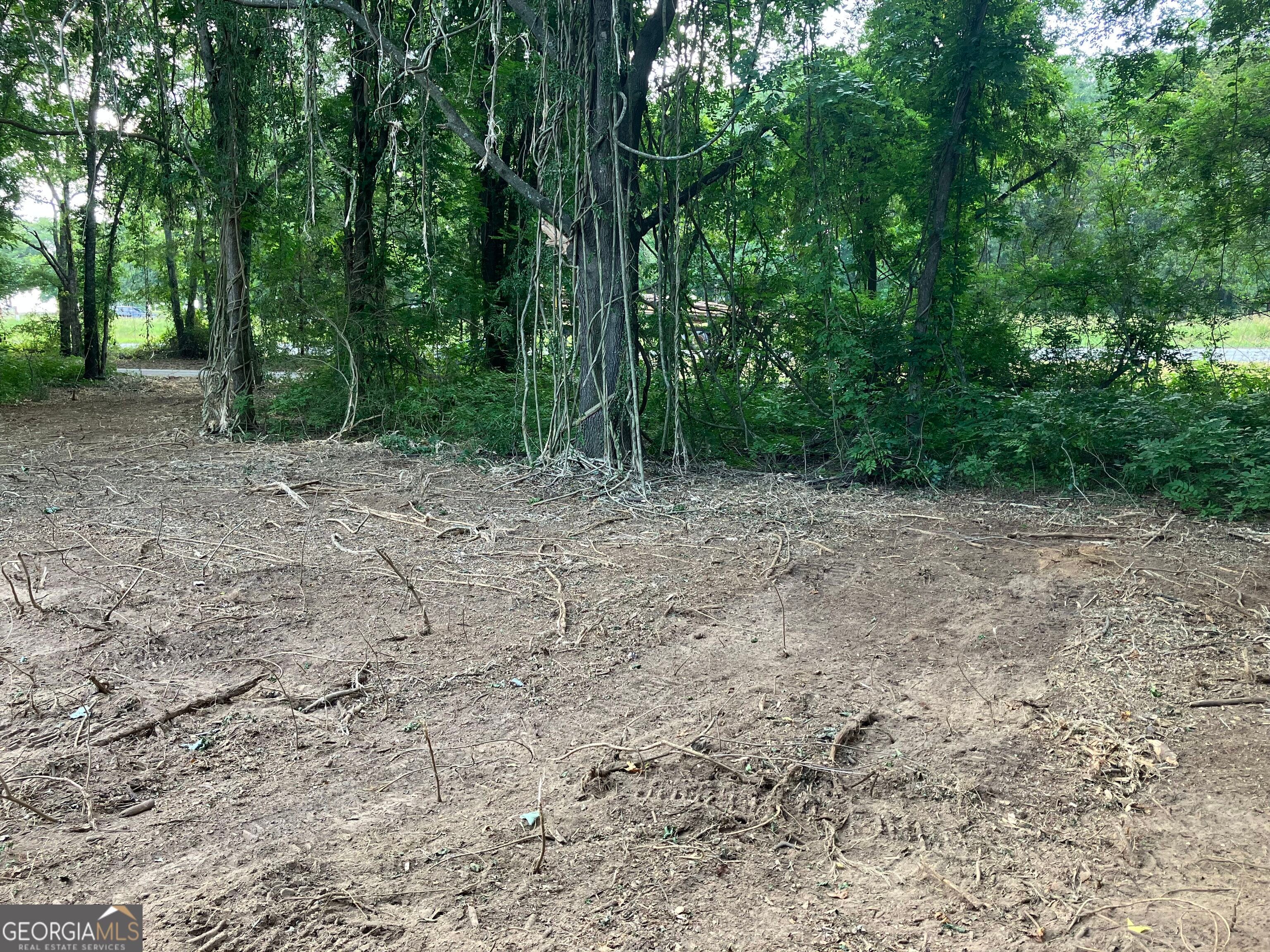 0 Durand, Warm Springs, GA, 31830