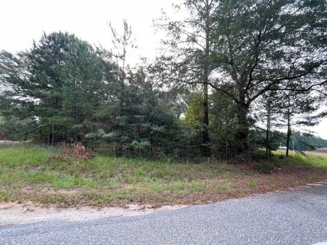 19 Epps, Seale, AL, 36875 — Photo 2