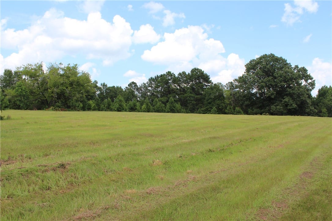 0 Brooks Rd, Phenix City, AL 36870, Green pastures and mature trees stretch beneath a