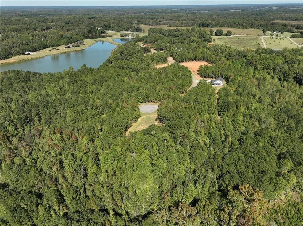 5225 Mary Olive Road, Opelika, AL, 36801 — Photo 3