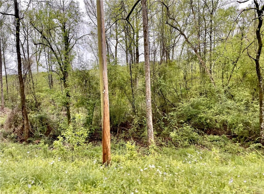 0 LAFAYETTE, Dadeville, AL, 36853 — Photo 3