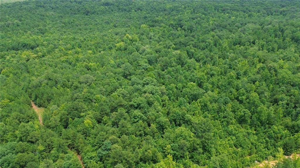 0 County Rd 34, Hurtsboro, AL, 36860