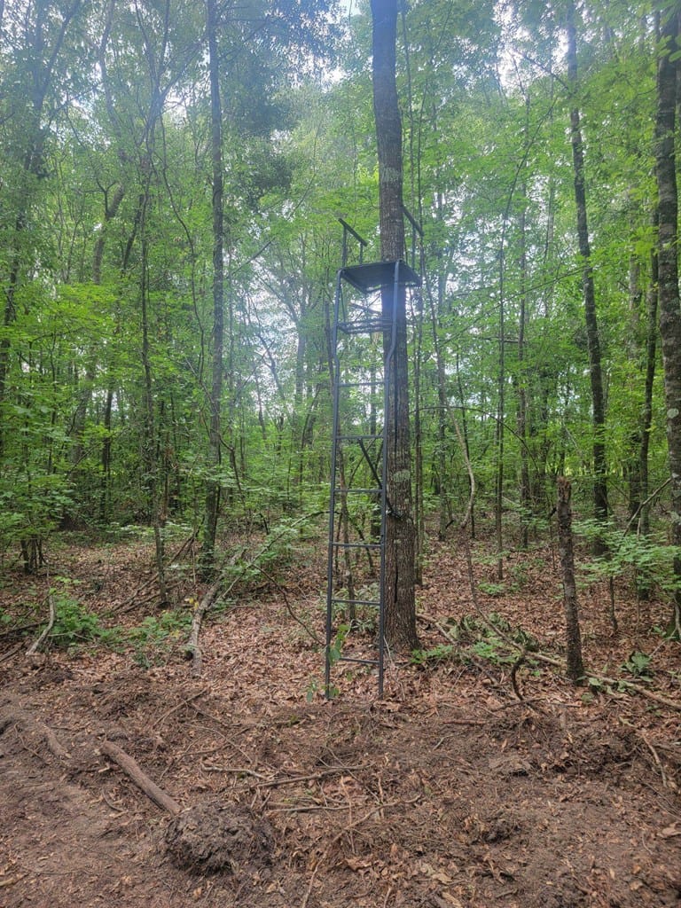 0 Stevens Crossing Road, Midville, GA, 30441 — Photo 3