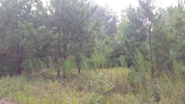 0 Lee Rd 246, Smiths Station, AL, 36870