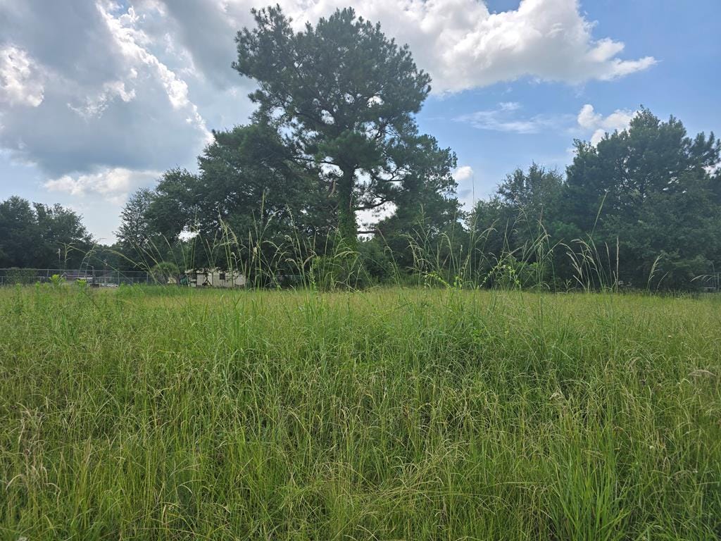 3618 Plumcrest Avenue, Albany, GA, 31705