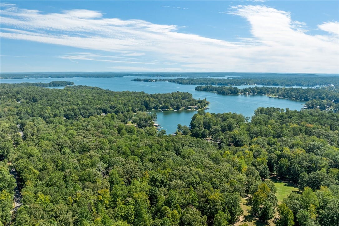 1 Lakeview Dr, Eclectic, AL 36024, Discover expansive lake views and lush, verdant wo