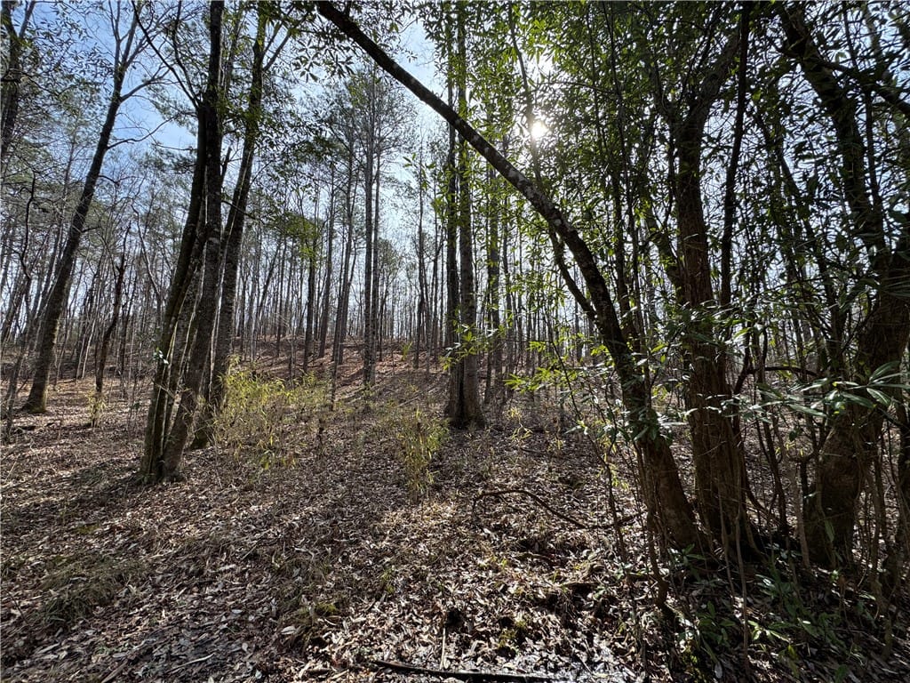 0 THORNTON, Camp Hill, AL, 36850 — Photo 2