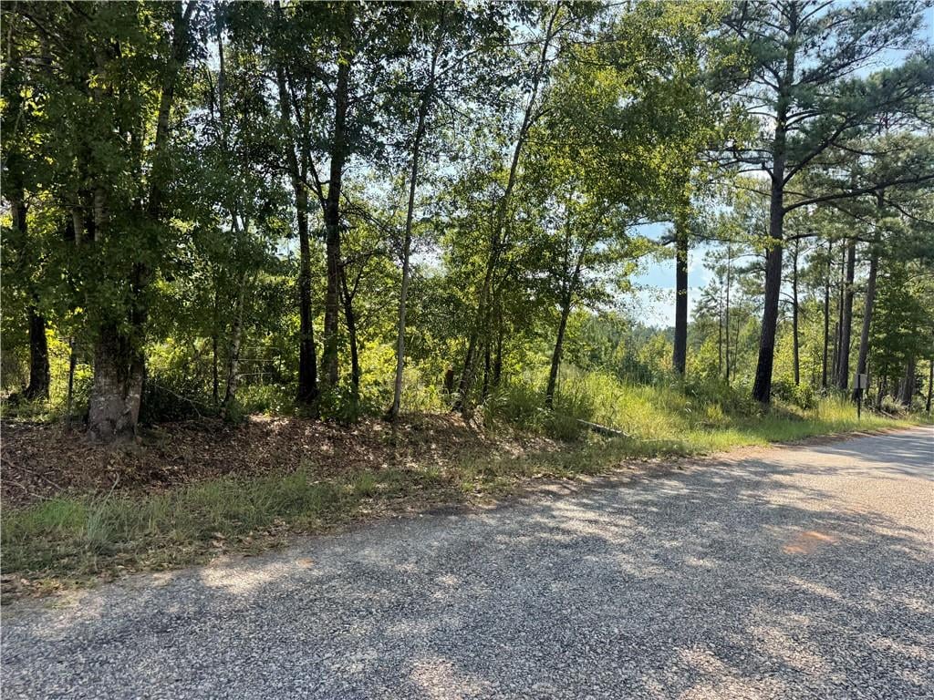 00 Bethel, Pittsview, AL, 36871