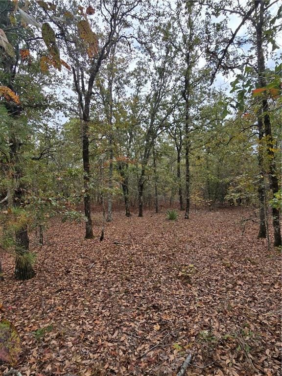 7 Dusty Road, Seale, AL, 36875 — Photo 3