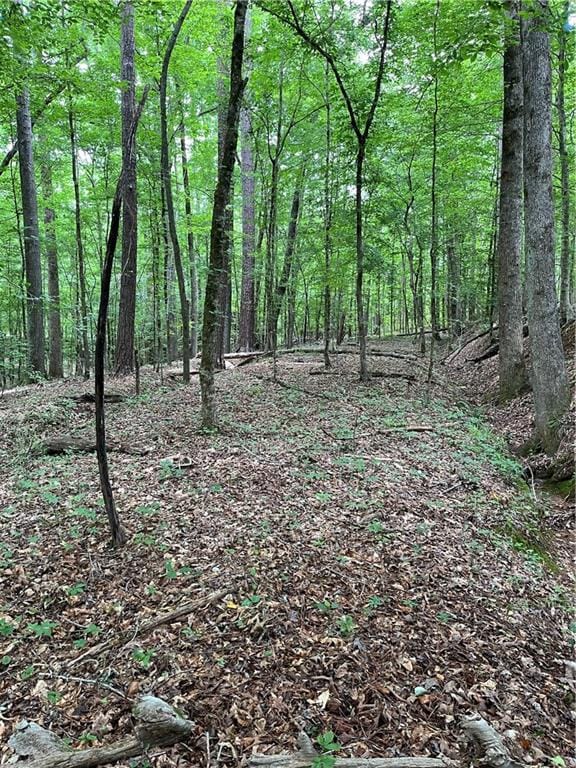 00 Lee Road 379, Salem, AL, 36874