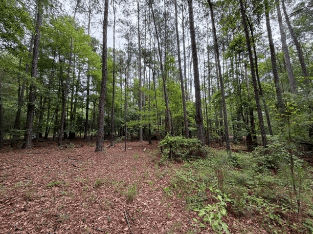 53 Robinson Rd, Seale, AL 36875
