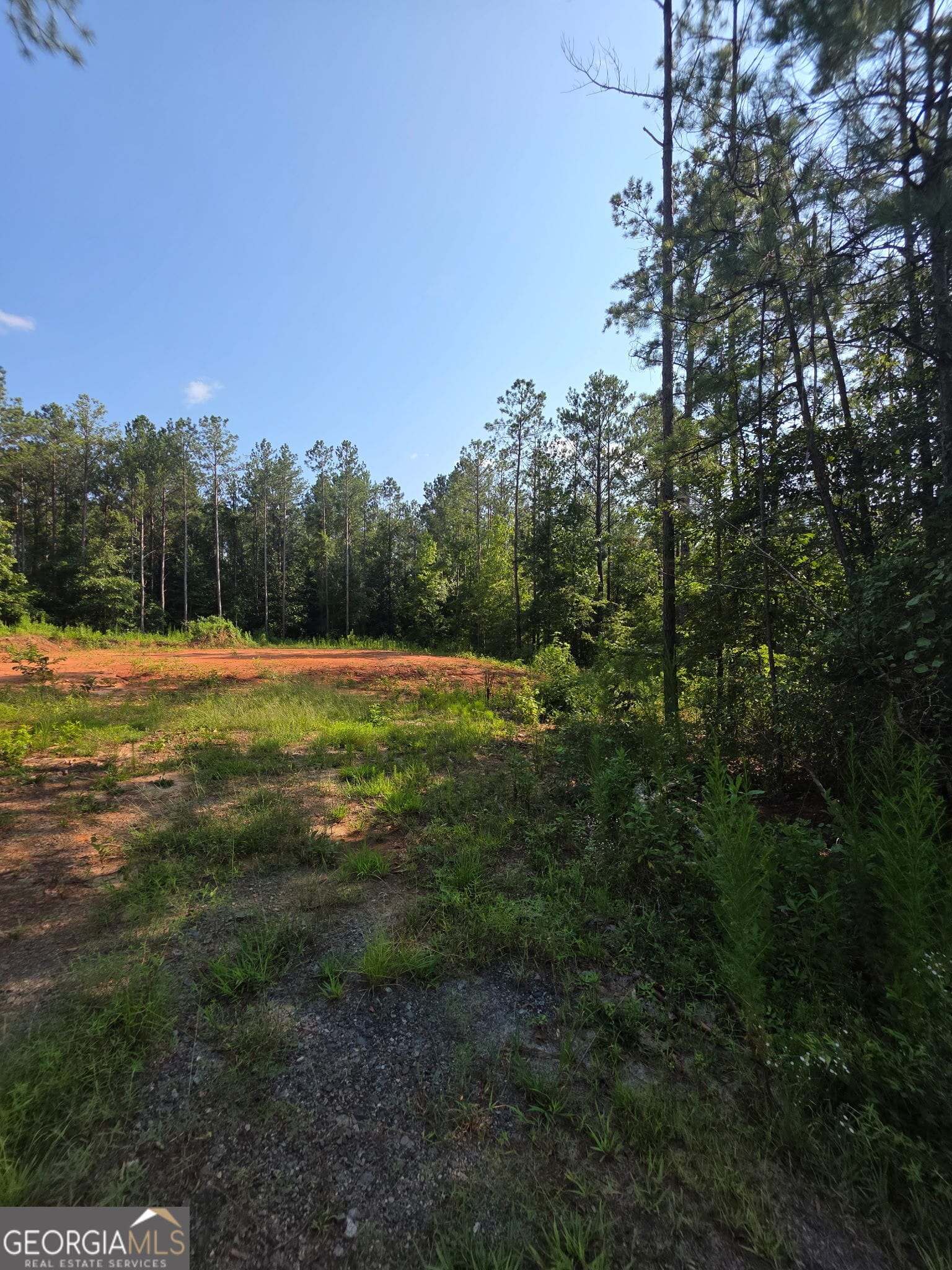 276 Bishop Road, Meansville, GA, 30256