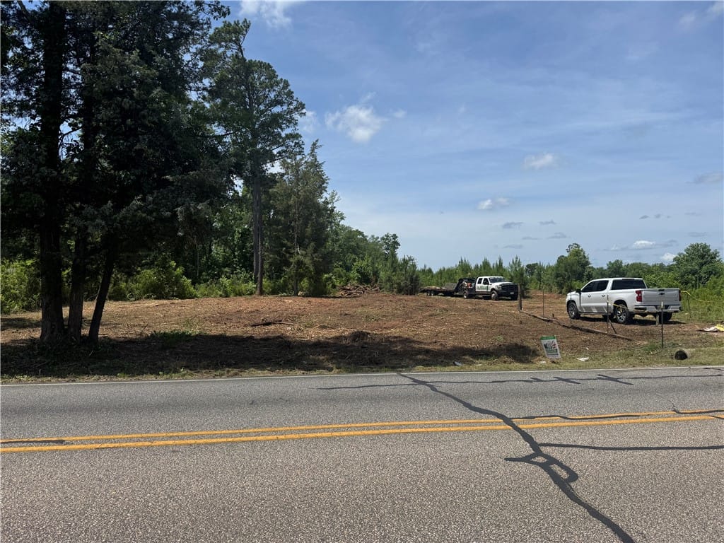 LOT 58 LEE ROAD 266, Cusseta, AL, 36852 — Photo 3