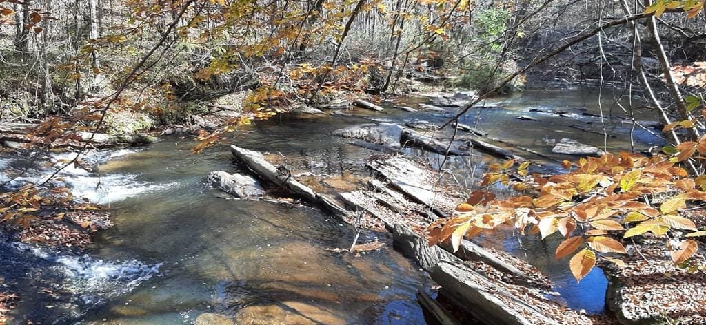 00 Oak Mountain Road, Shiloh, GA, 31826