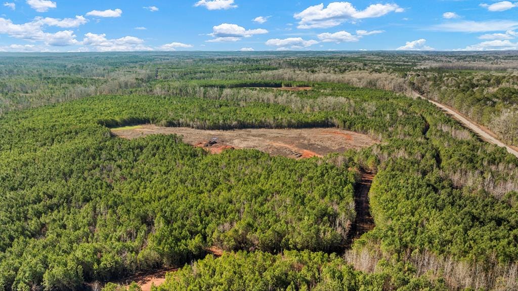 C2-200 Fortune Hole Road, Hamilton, GA, 31811