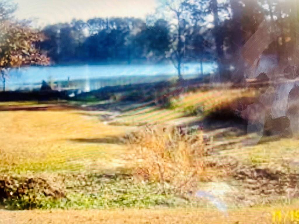 0 Lewis Mill Lake Road, Vienna, GA, 31092