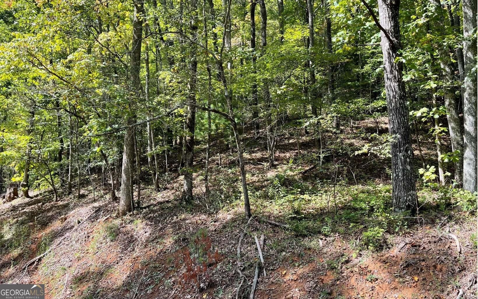 31 Nelson Ridge Rd, Hayesville, NC 28904