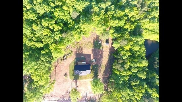 87 Chew Road, Manchester, GA, 31816 — Photo 2