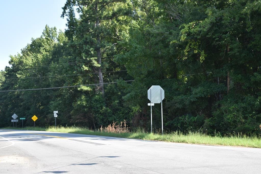0 Georgia 315 #219, Piney Grove, GA, 31808