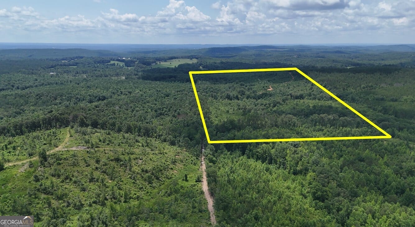 0 U.S. 431 #lot a, Wedowee, AL, 36278