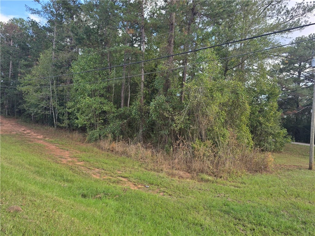 0 Newton Street, Valley, AL, 36854 — Photo 2