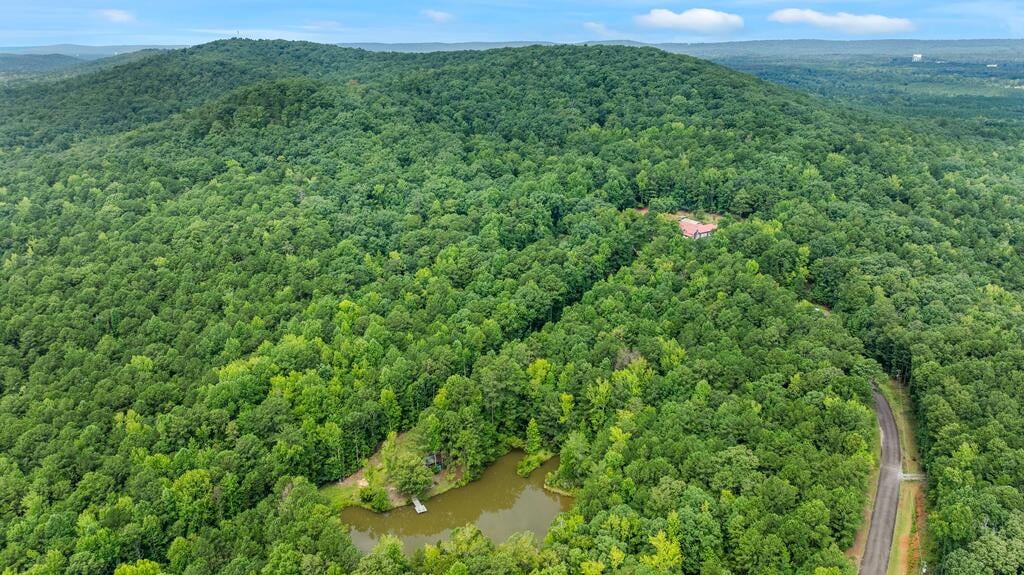 0 Johnson Mill Rd, Hamilton, GA 31811