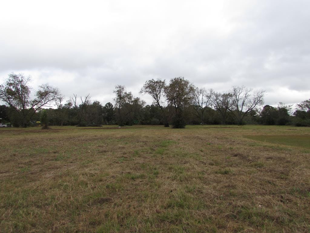 0000 Chancey Mill Road, Blakely, GA, 39823