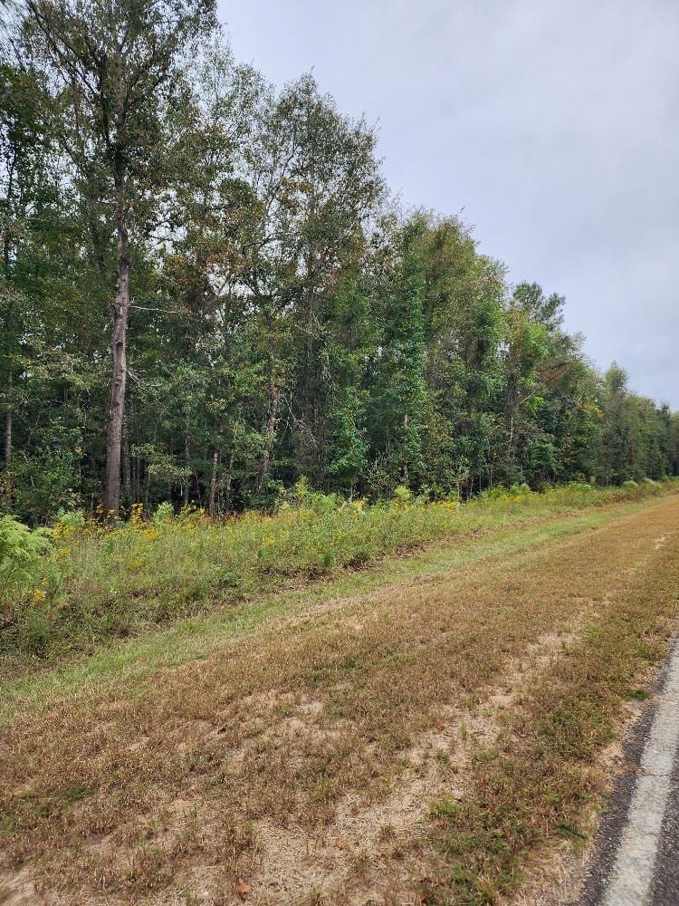 0 Riverbend Road, Cusseta, GA, 31805 — Photo 2