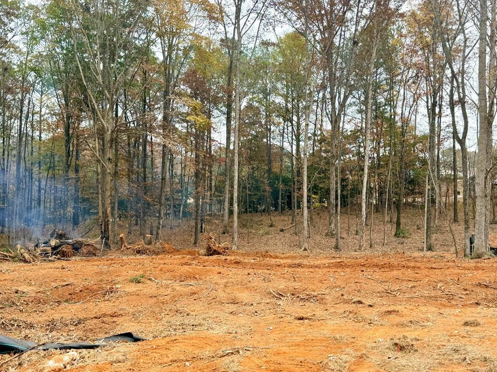 140 Rolling Meadows Way, Waverly Hall, GA 31831, USA — Photo 3