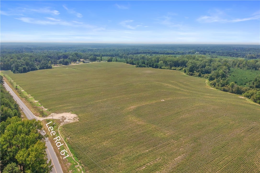 00 LEE ROAD 61, Auburn, AL, 36832