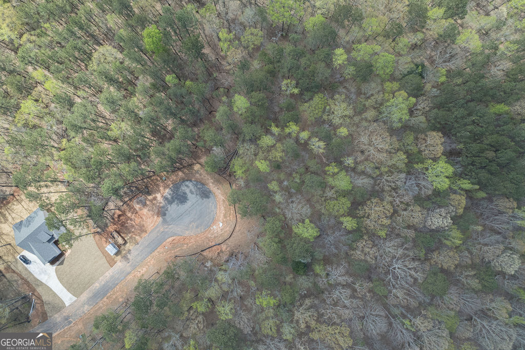 4 Puckett Sta Dr, Moreland, GA 30259
