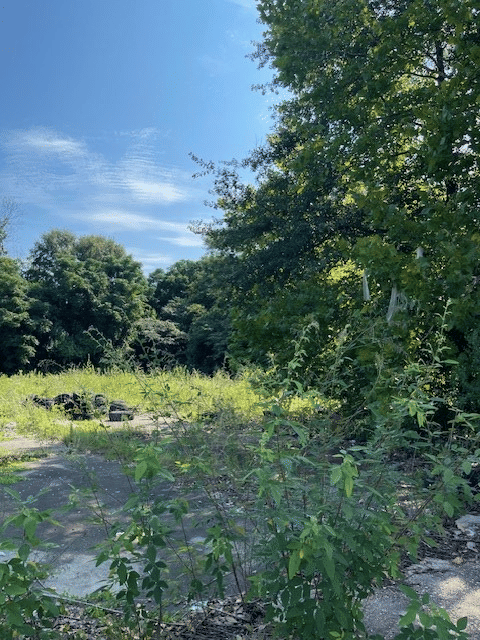 2517 Cusseta Rd, Columbus, GA 31903