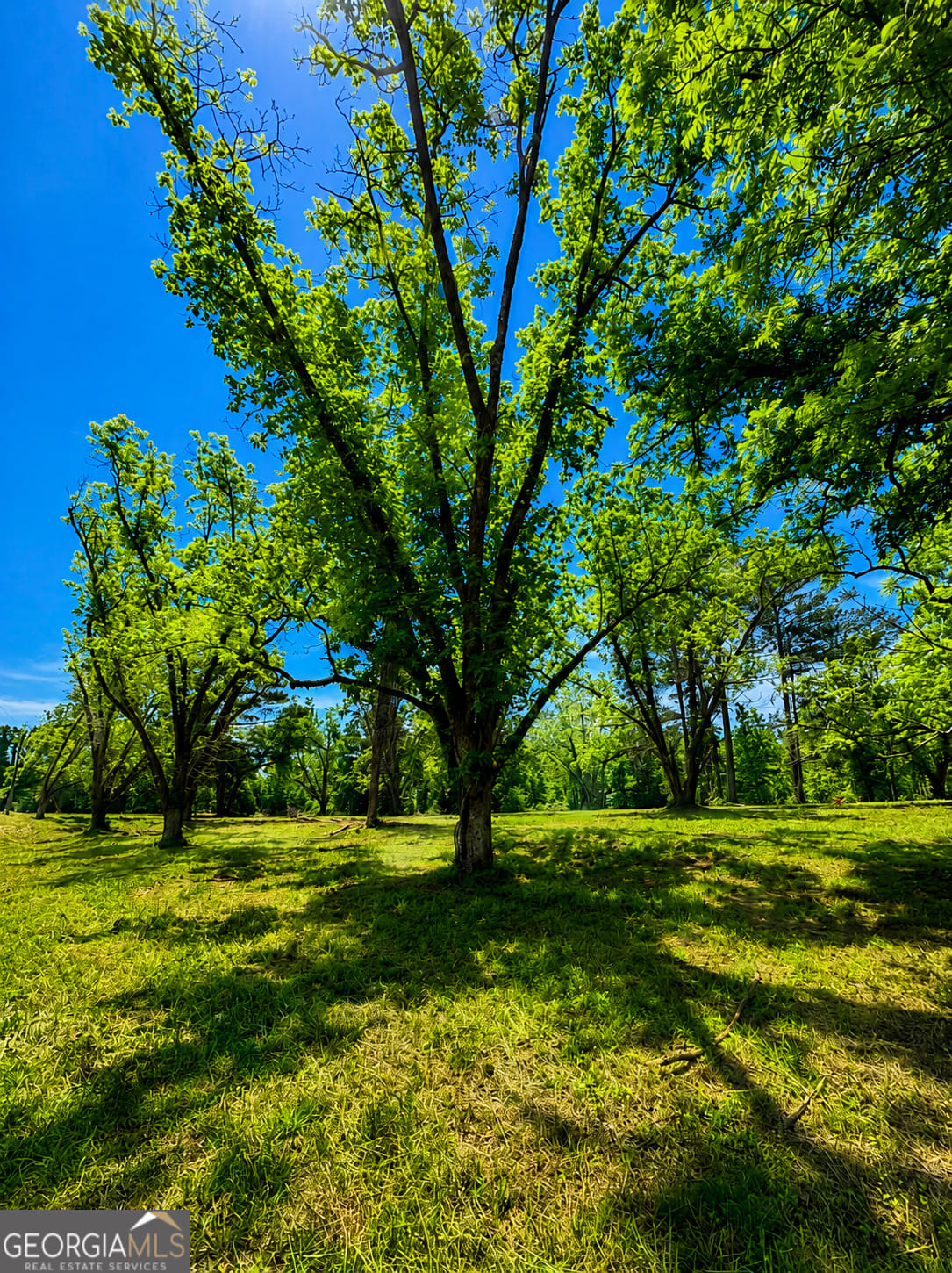 0 Salem Rd #2, LaGrange, GA 30241
