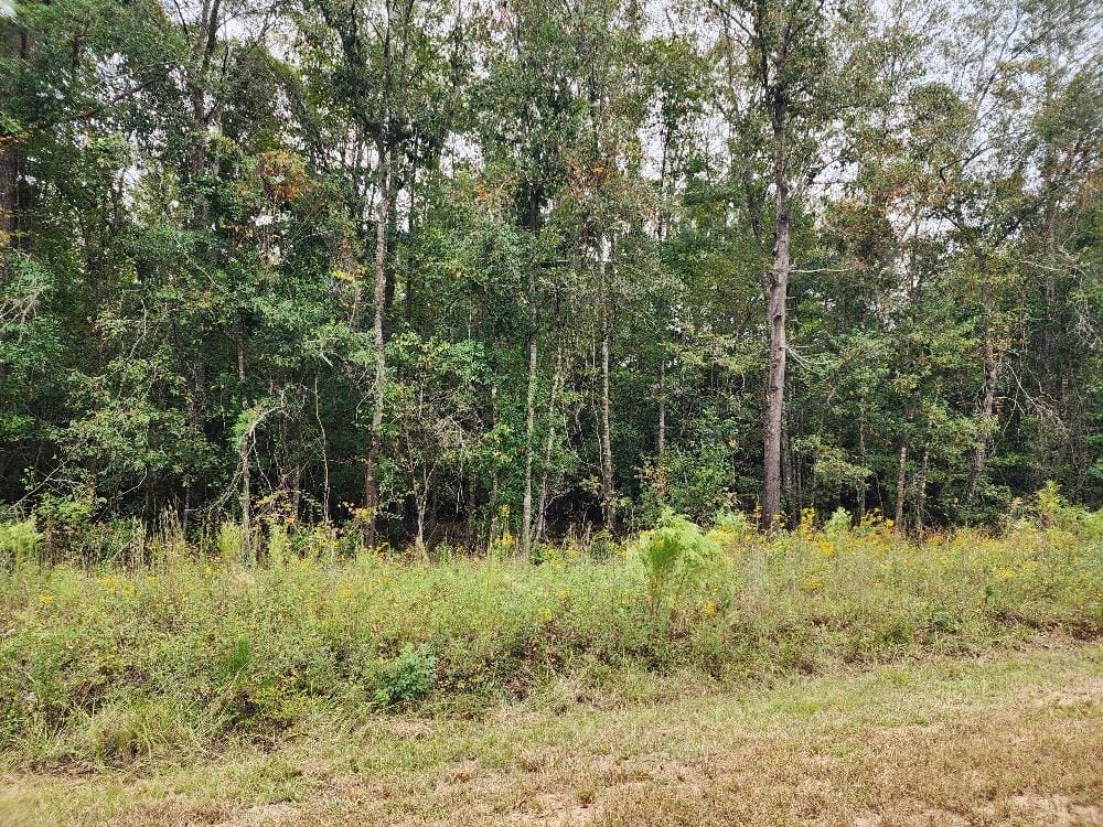 0 Riverbend Road, Cusseta, GA, 31805