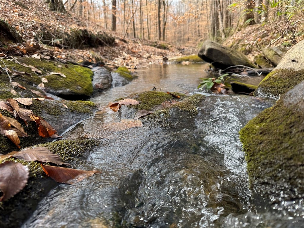 0 CHURCHILL, Camp Hill, AL, 36850 — Photo 2