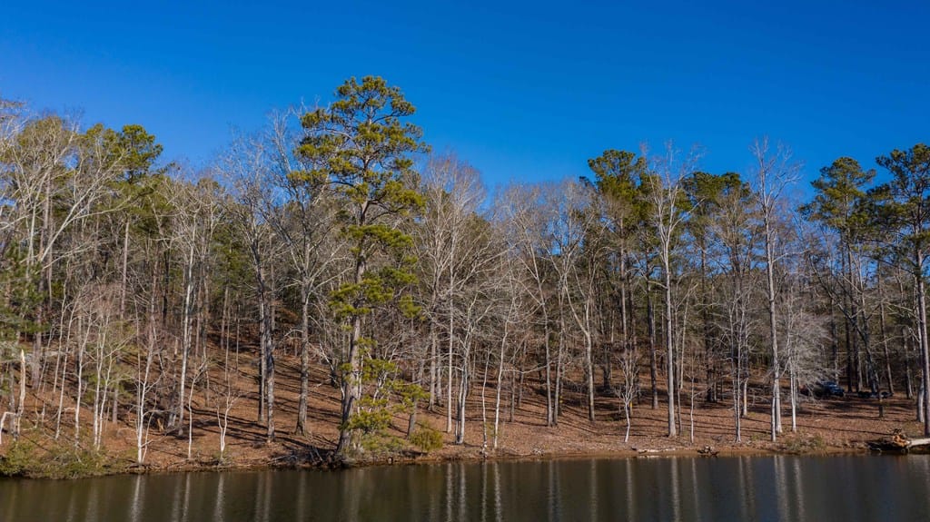 Lot 2 Hinton Drive, Hamilton, GA, 31811