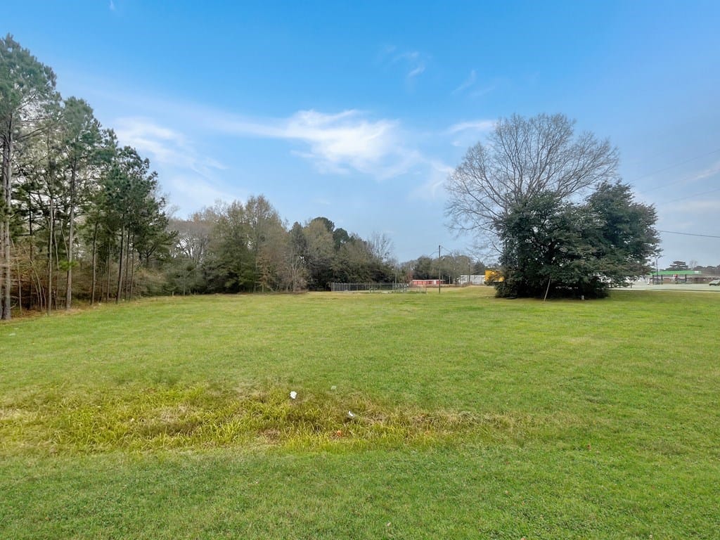 0 Georgia 32, Leesburg, GA, 31763 — Photo 3