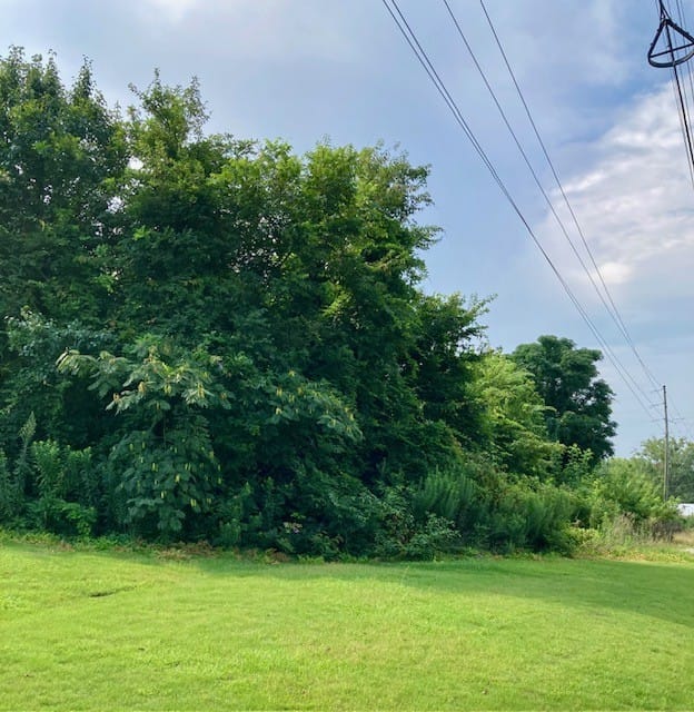 0 LAFAYETTE, Opelika, AL, 36801