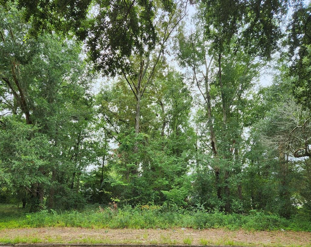 1500 Tift, East, Albany, GA, 31705