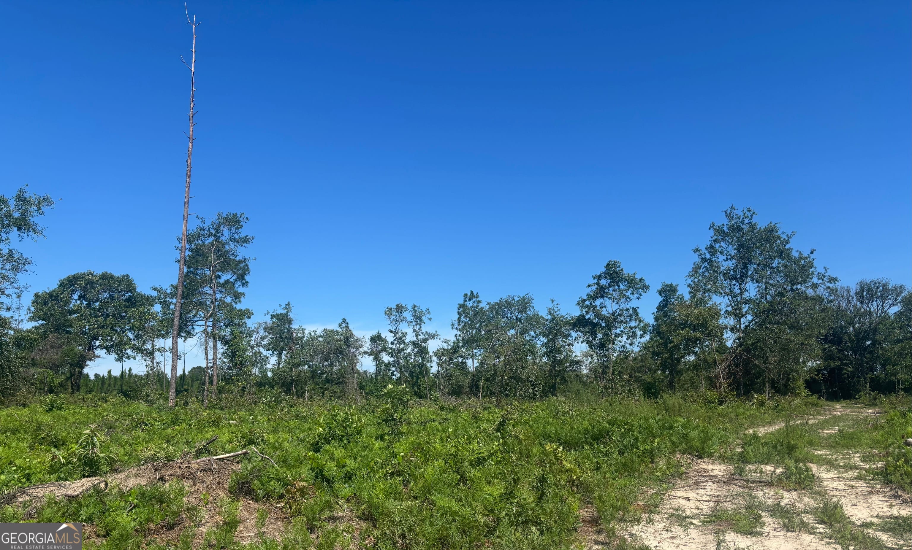 38 ACRES Ga Highway 240 N CONNECTOR, Mauk, GA, 31058