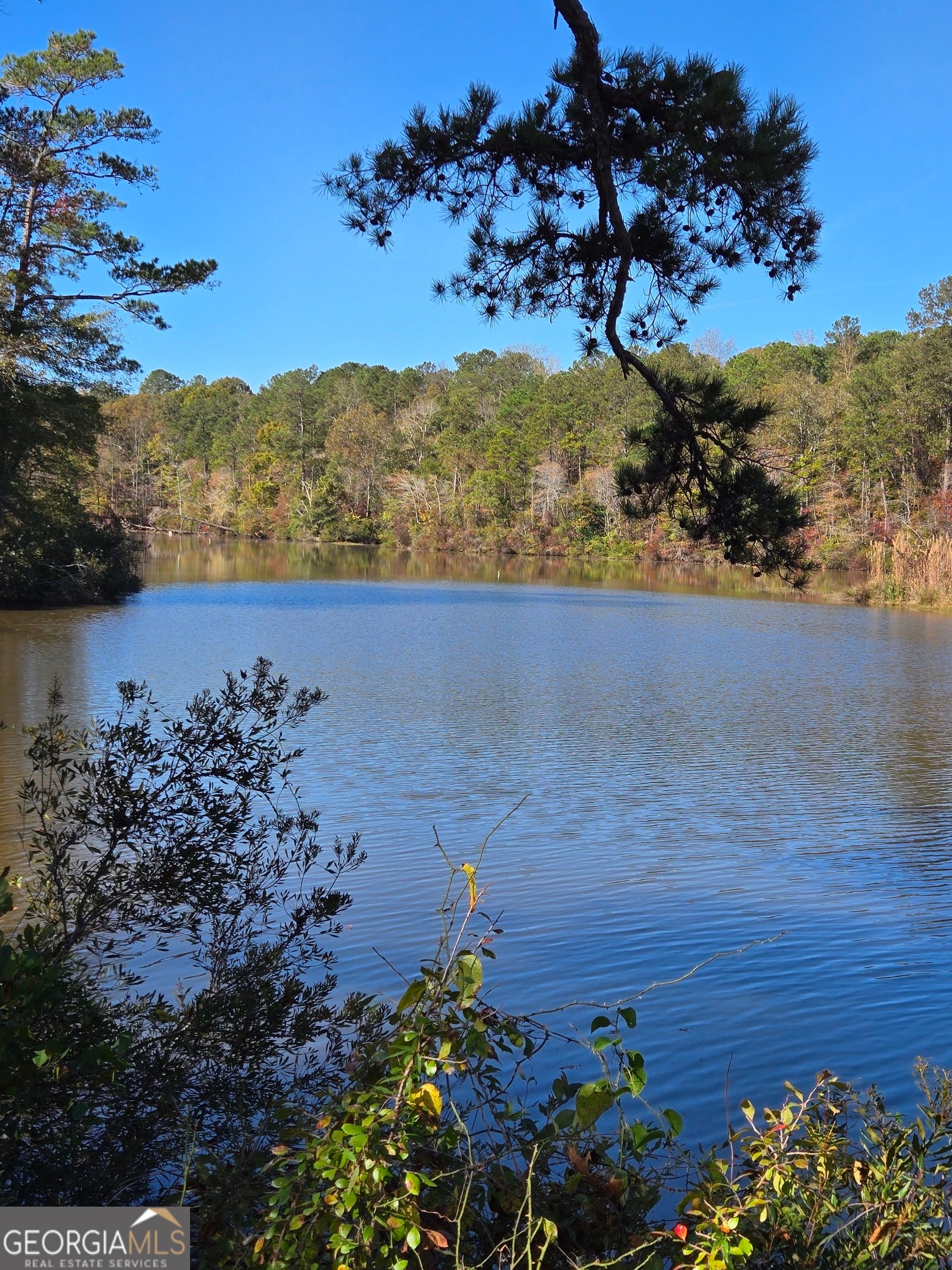 LOT 7 Lickskillet, Hamilton, GA, 31811