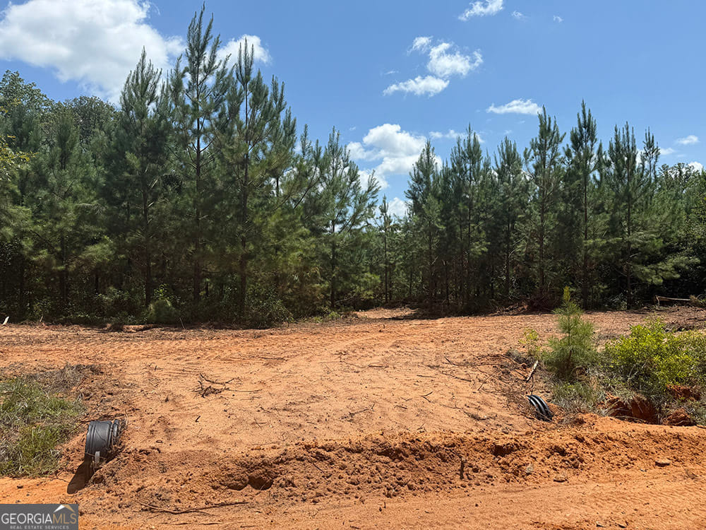 0 Fox Creek, Preston, GA, 31824