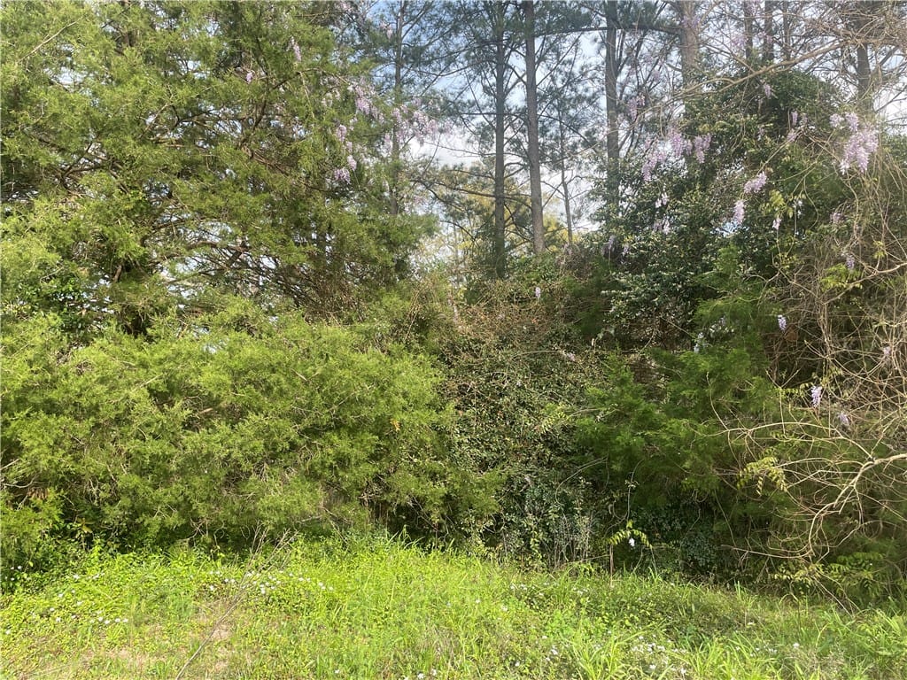 605 North 8th Street #lot2a, Opelika, AL, 36801